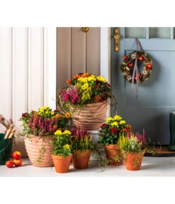 Vasar Kunststoff-Topf Murano -Biohort Verkaufsgeschäft 6138028 WE MO 001 KranzApfel Herbst