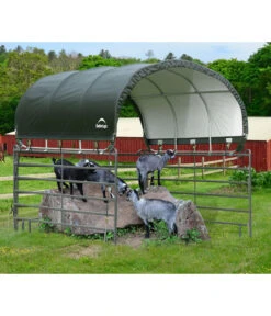 Shelter Logic Pferdestallüberdachung, Ca. B370/H160/T370 Cm -Biohort Verkaufsgeschäft 6610422 WE MO 006 50NorthWeidezelt done