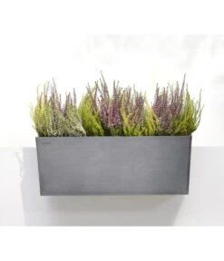 Ecopots Kunststoff-Kasten Bruges Hängend, Rechteckig, Grau, Ca. B55/H21/T20 Cm -Biohort Verkaufsgeschäft 6614416 WE MO 001 EcopotsKunststoffKastenBrugeshaengendrechteckiggrau