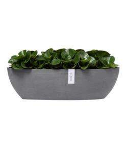 Ecopots Kunststoff-Schale Sofia Mit Wassersystem, Oval, Ca. B56/H16/T14 Cm -Biohort Verkaufsgeschäft 6614580 WE FS 003 EcopotsKunststoffSchaleSofialangmitWassersystemoval