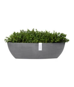 Ecopots Kunststoff-Schale Sofia Mit Wassersystem, Oval, Ca. B56/H16/T14 Cm -Biohort Verkaufsgeschäft 6614580 WE FS 004 EcopotsKunststoffSchaleSofialangmitWassersystemoval