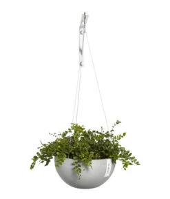 Ecopots Kunststoff-Hängeampel Brussels, Rund, Ca. Ø26,5/H13 Cm -Biohort Verkaufsgeschäft 6614606 WE FS 002 EcopotsKunststoffHaengeampelBrusselsrund