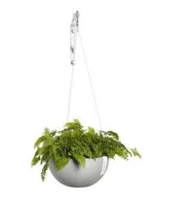 Ecopots Kunststoff-Hängeampel Brussels, Rund, Ca. Ø26,5/H13 Cm -Biohort Verkaufsgeschäft 6614606 WE FS 003 EcopotsKunststoffHaengeampelBrusselsrund