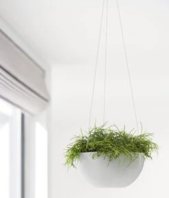 Ecopots Kunststoff-Hängeampel Brussels, Rund, Ca. Ø26,5/H13 Cm -Biohort Verkaufsgeschäft 6614606 WE MO 001 EcopotsKunststoffHaengeampelBrusselsrund