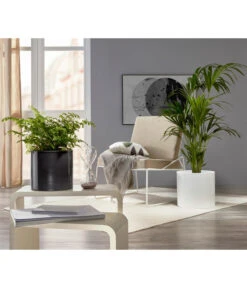 Scheurich Keramik-Übertopf, Rund, Ca. Ø33 Cm -Biohort Verkaufsgeschäft 6642151 PR MO 001 TopfPanna