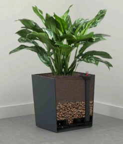 Siena Garden Kunststoff-Topf Biron, Eckig, Ca. B40/H41,5/T40 Cm -Biohort Verkaufsgeschäft 6655336 WE DE 002 PflanzgefaessBironGraphit