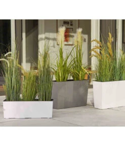 Siena Garden Kunststoff-Kasten Craon, Eckig, Grau, Ca. B56/H36,5/T19 Cm -Biohort Verkaufsgeschäft 6655492 WE MO 002 PflanzgefaessCraonGrau