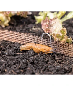 Windhager Schneckenzaun, Ca. L8 M -Biohort Verkaufsgeschäft 6663322 WE MO 001 WindhagerSchneckenzaun