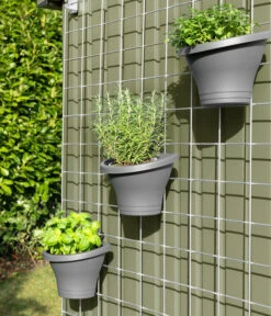 Hörmann Rankgitter Für Berry-Gerätehäuser