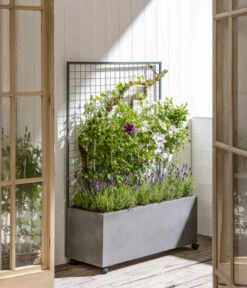 Dehner Leichtbeton-Kasten Mit Spalier Und Rollen, Ca. B100/H142/T37 Cm, Grau 7 Dehner Leichtbeton-Kasten Mit Spalier Und Rollen, Ca. B100/H142/T37 Cm, Grau -Biohort Verkaufsgeschäft 6728448 WE MO 001 DehnerLeichtbetonKastenmitSpalier