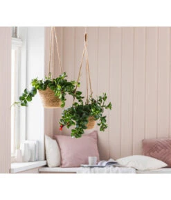 Dehner Seegras-Ampel Igmar -Biohort Verkaufsgeschäft 6759393 WE MO 005 AmpelIgmarBraun