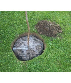 Wühlmauskorb 9 Wühlmauskorb -Biohort Verkaufsgeschäft 6920136 WE MO 002 Wuehlmauskorb