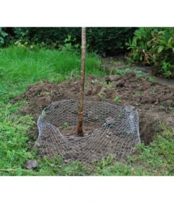 Wühlmauskorb 10 Wühlmauskorb -Biohort Verkaufsgeschäft 6920136 WE MO 003 Wuehlmauskorb