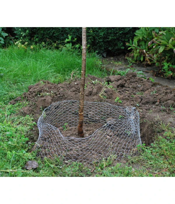 Wühlmauskorb 6 Wühlmauskorb – Bild 4