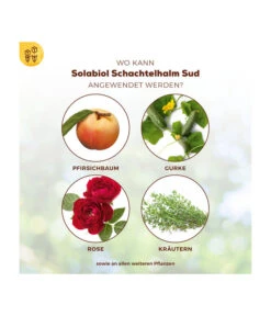 Solabiol® Schachtelhalm Sud, 1 L -Biohort Verkaufsgeschäft 6938187 WE DE 003 SolabiolSchachtelhalmSud