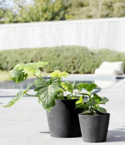 Ecopots Kunststoff-Topf Amsterdam Mit Wassersystem, Rund -Biohort Verkaufsgeschäft 6949937 6949945 6949952 6949960 WE MO 001 EcopotsKunststoffTopfAmsterdammitWassersystemrunddunkelgrau