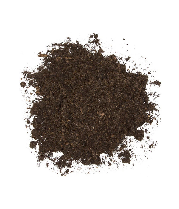 Floragard Aktiv Grünpflanzen- Und Palmenerde, 56 X 20 L 7 Floragard Aktiv Grünpflanzen- Und Palmenerde, 56 X 20 L – Bild 5