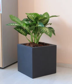 Farmet New Doppelwandiger Kunststoff-Kübel Atlantis, Quadratisch, Dunkelgrau, Inkl. Untersetzer -Biohort Verkaufsgeschäft 6965065 WE MO 001 FarmetNewdoppelwandigerKunststoffKuebelAtlantisrechteckig