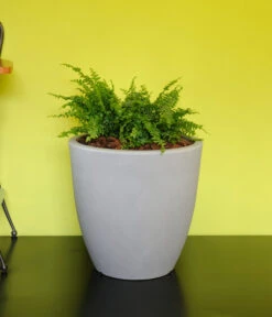 Farmet New Kunststoff-Kübel Orione Alto, Rund, Inkl. Untersetzer -Biohort Verkaufsgeschäft 6965396 WE MO 001 FarmetNewKunststoffKuebelOrioneAltorund