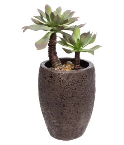 Fleur Ami Kunststoff-Topf Lava, Rund -Biohort Verkaufsgeschäft 6999205 WE FS 002 FleurAmiPflanzgefaessLava29Bronze