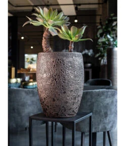 Fleur Ami Kunststoff-Topf Lava, Rund -Biohort Verkaufsgeschäft 6999205 WE MO 001 FleurAmiPflanzgefaessLava29Bronze