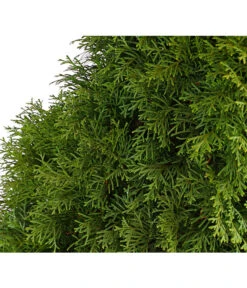 12 Meter Lebensbaum 'Smaragd', 30 X Ca. 100-125 Cm -Biohort Verkaufsgeschäft 7513534 WE DE 001 ThujaLebensbaumOccidentalisSmaragd20LDehnerExpressHerzig 1