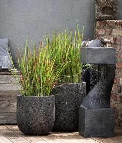 Japanisches Blutgras 'Red Baron' 13 Japanisches Blutgras 'Red Baron' -Biohort Verkaufsgeschäft 8016321 8006314 8006710 WE MO 004 Imperata