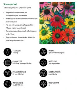 Garten-Scheinsonnenhut 'Cheyenne Spirit' -Biohort Verkaufsgeschäft 8039901 WE IG 001 Sonnenhut
