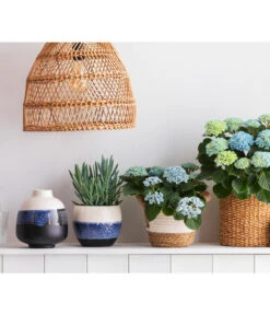 Dehner Seegras-Korb Ida, Rund -Biohort Verkaufsgeschäft 8203994 668948 6689855 WE MO 001 HortensieMagicalTopfMaritim