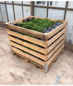 24 Meter Lebensbaum 'Smaragd', 80 X Ca. 60-80 Cm -Biohort Verkaufsgeschäft 8295156 WE FS 003 ThujaPalette5Liter