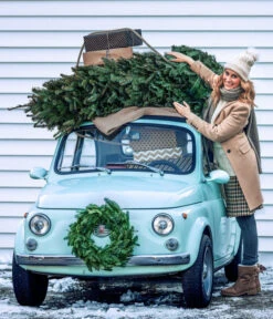 Nordmann-Tanne, Ca. 100-150 Cm, Gesägt -Biohort Verkaufsgeschäft 8996480 WE MO 001 AbiesNordmannianaTitel