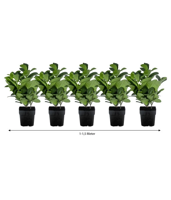 Biohort Verkaufsgeschäft -Biohort Verkaufsgeschäft